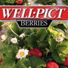 Well-Pict Berries