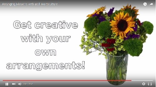 Arranging Flowers with Ball Horticulture