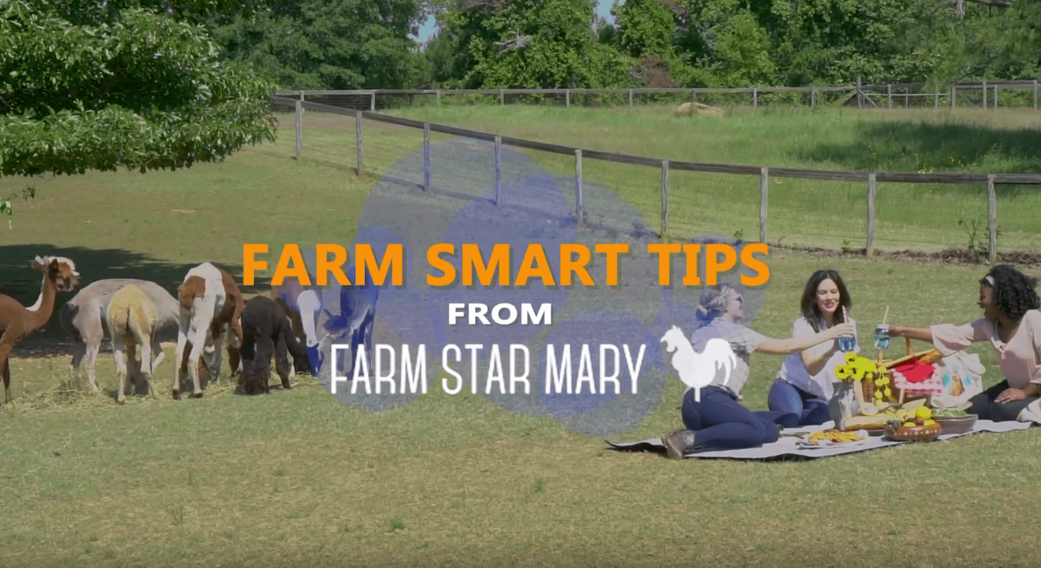 Smart Tips for Farm Trips: Tip #1