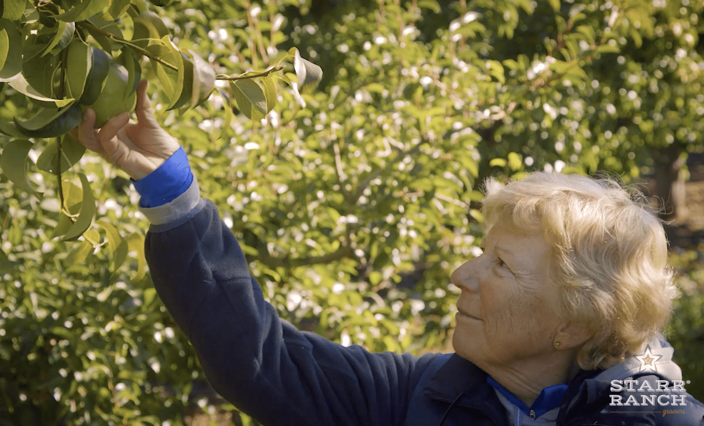 Farm Star Mary's Minutes: The Art of Growing Pears