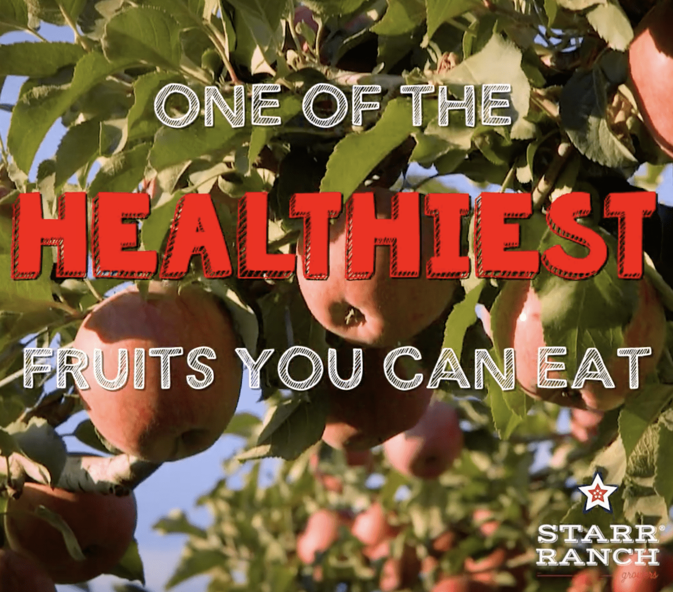 Starr Ranch Growers: Healthy Fruit