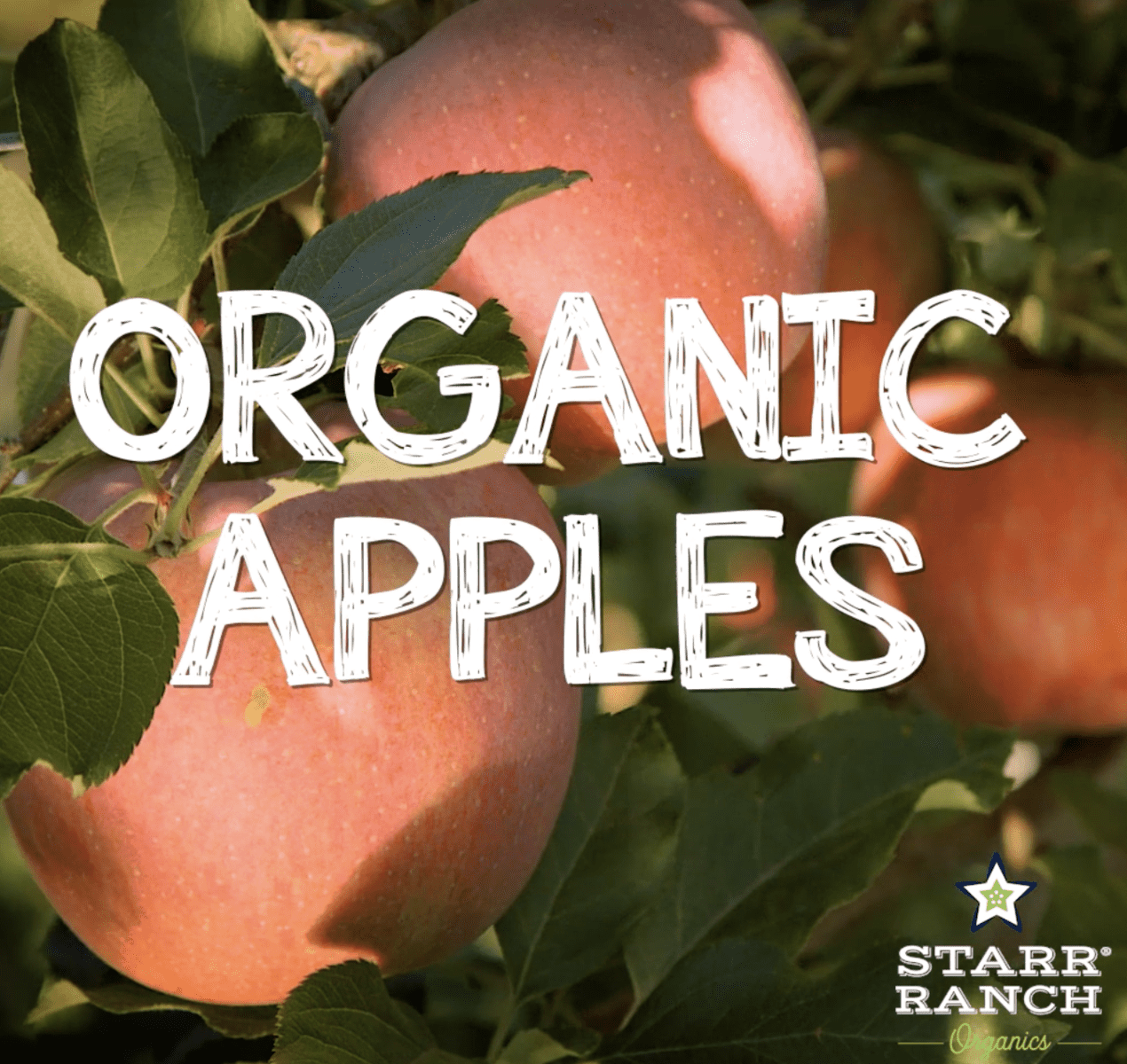 Starr Ranch Growers: Organic Apples