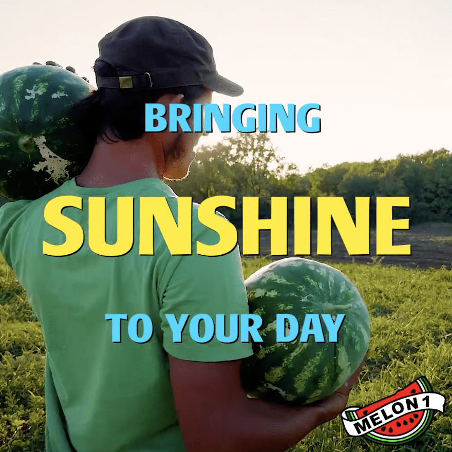 Melon 1: Bringing Sunshine To Your Day