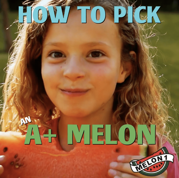 Melon 1: How To Pick Watermelons