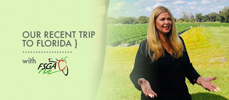 Our Recent Trip to Florida with the Florida Strawberry Growers Association