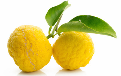 Yuzu