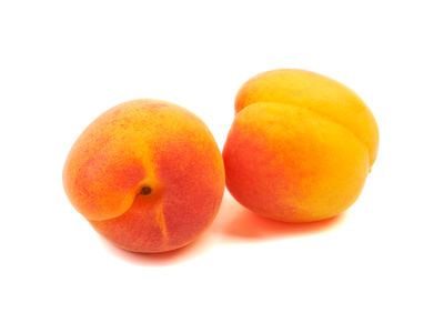 Apricot