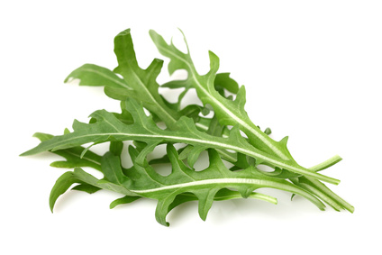 Arugula