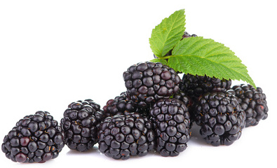 Blackberry