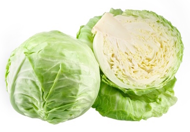 Cabbage