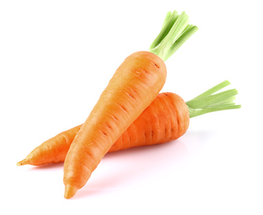 Carrot