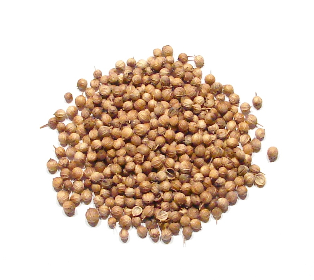 Coriander