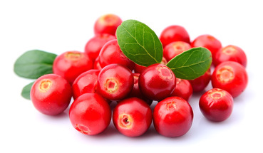 Cranberry