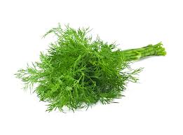 Dill