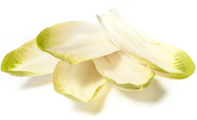 Endive