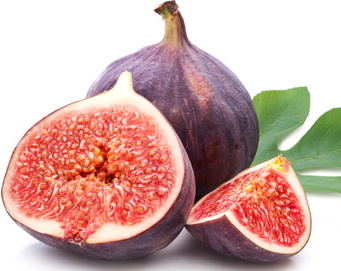 Fig