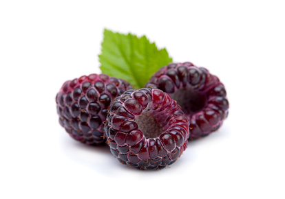 Boysenberry