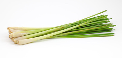 Lemongrass