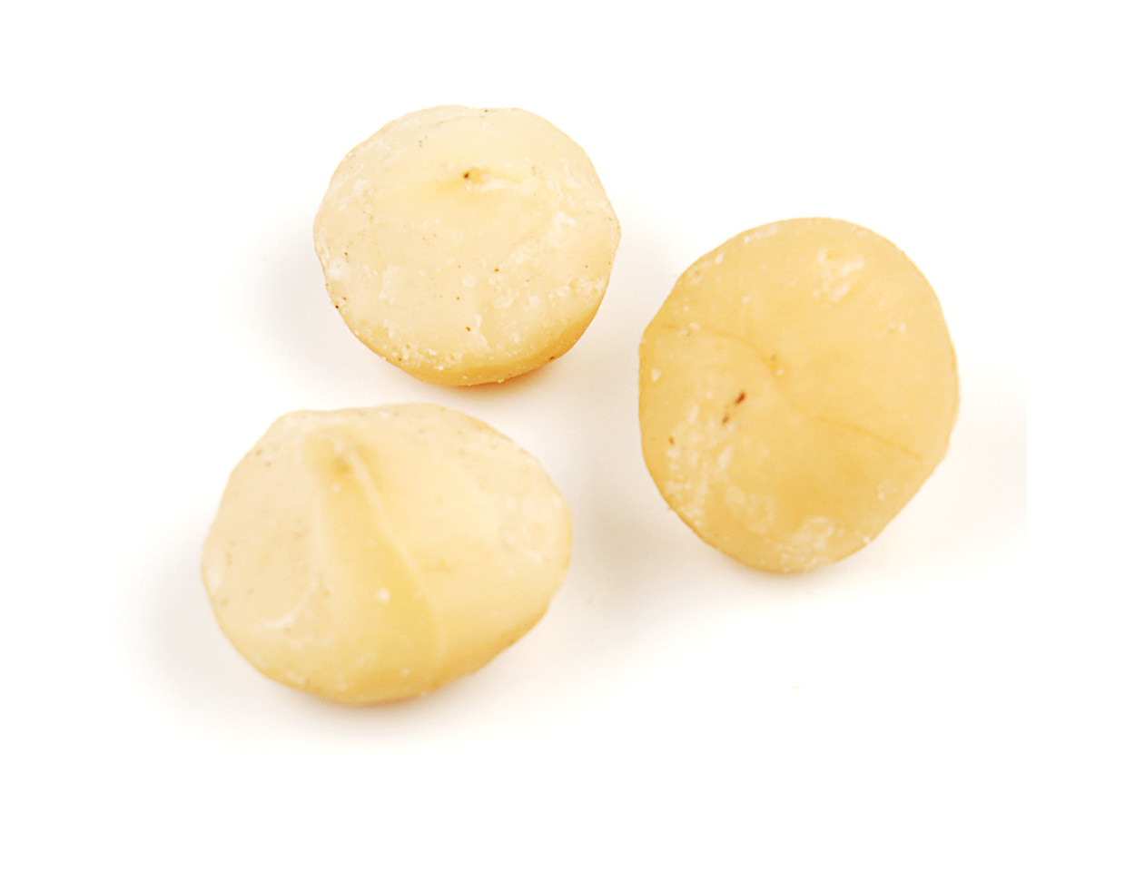 Macadamia