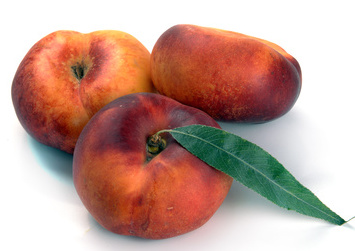 Nectarine