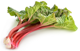 Rhubarb