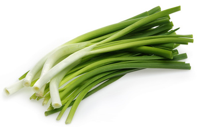 Scallion