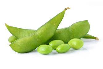 Soybean