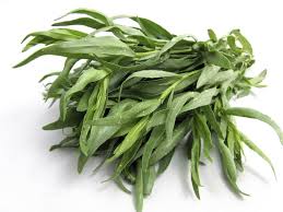 Tarragon