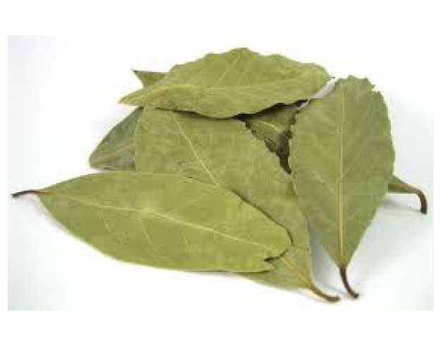 Bay leaf