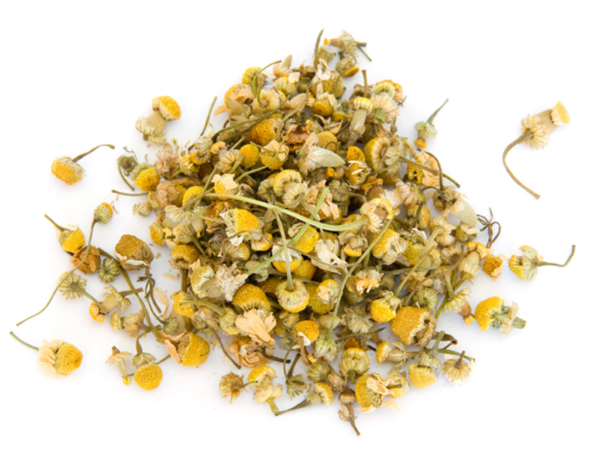 Chamomile