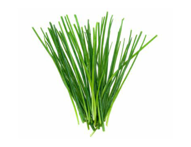 Chives