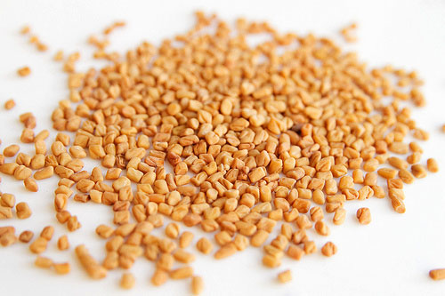 Fenugreek