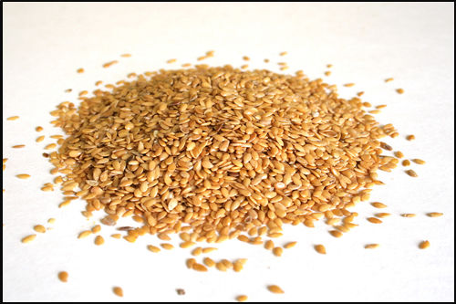 Flax seed