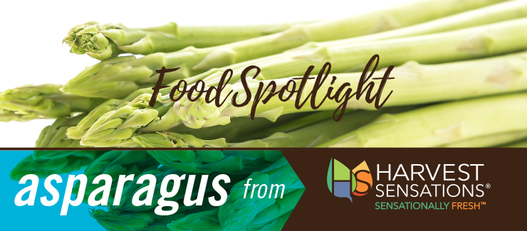 Food Spotlight