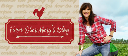 Mary's Blog