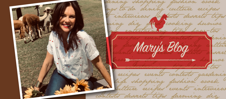 Mary's Blog