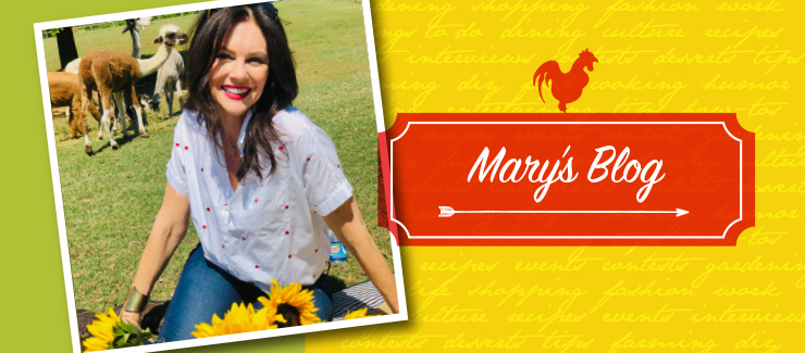 Mary's Blog