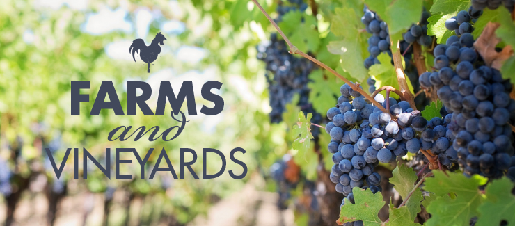 Farms & Vineyards