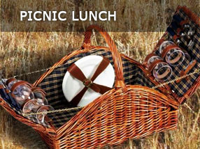 picnic-lunch