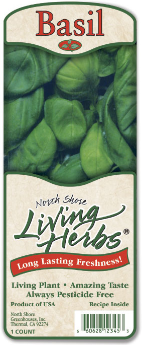 food spotlight