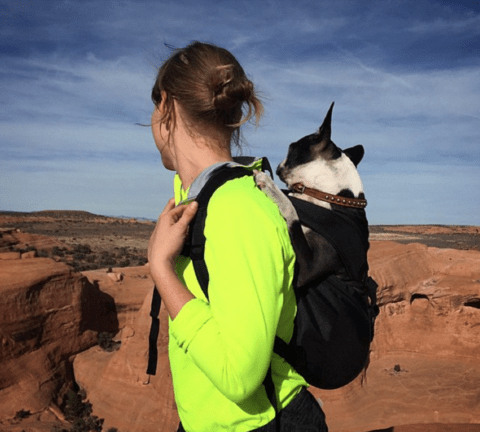 Hiking_s_large