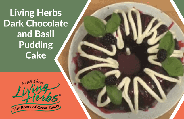 Living Herbs Dark Chocolate Blackberry and Basil Pudding Cake