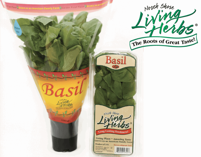 North Shore Living Herbs® Basil