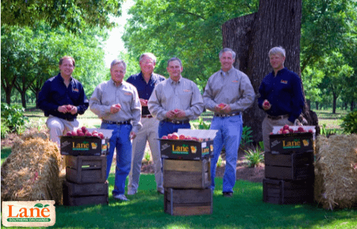 Peach Farming by HAND? Lane Southern Orchards perfected it!