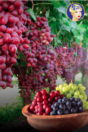 Pretty Lady Table Grapes