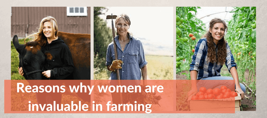 Reasons Why Women Are Invaluable in Farming