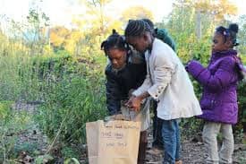 Urban Farming: Transforming Communities