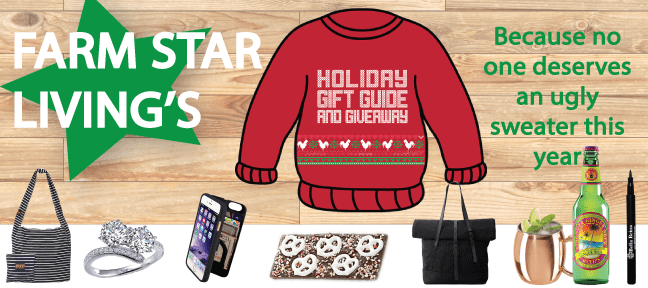 2015 Holiday Gift Guide!