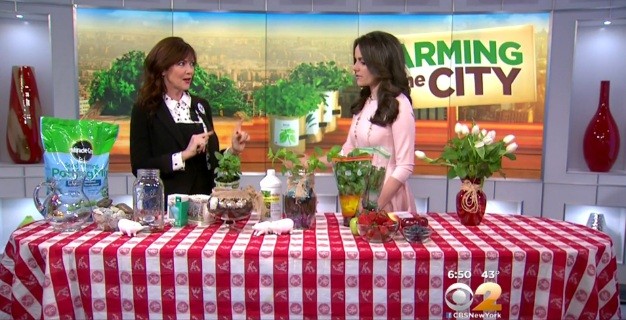 Farming In The City - CBS New York