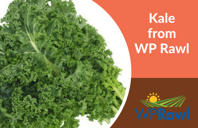 Kale from WP Rawl